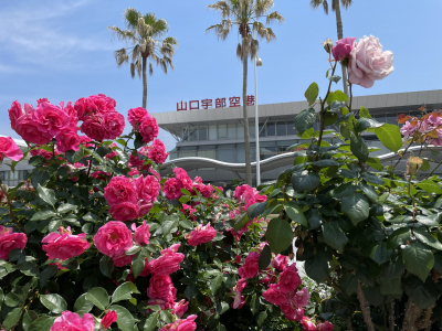 山口宇部空港ビル株式会社