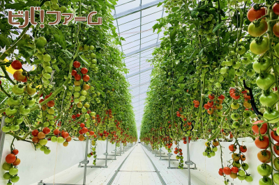 株式会社オータニ
